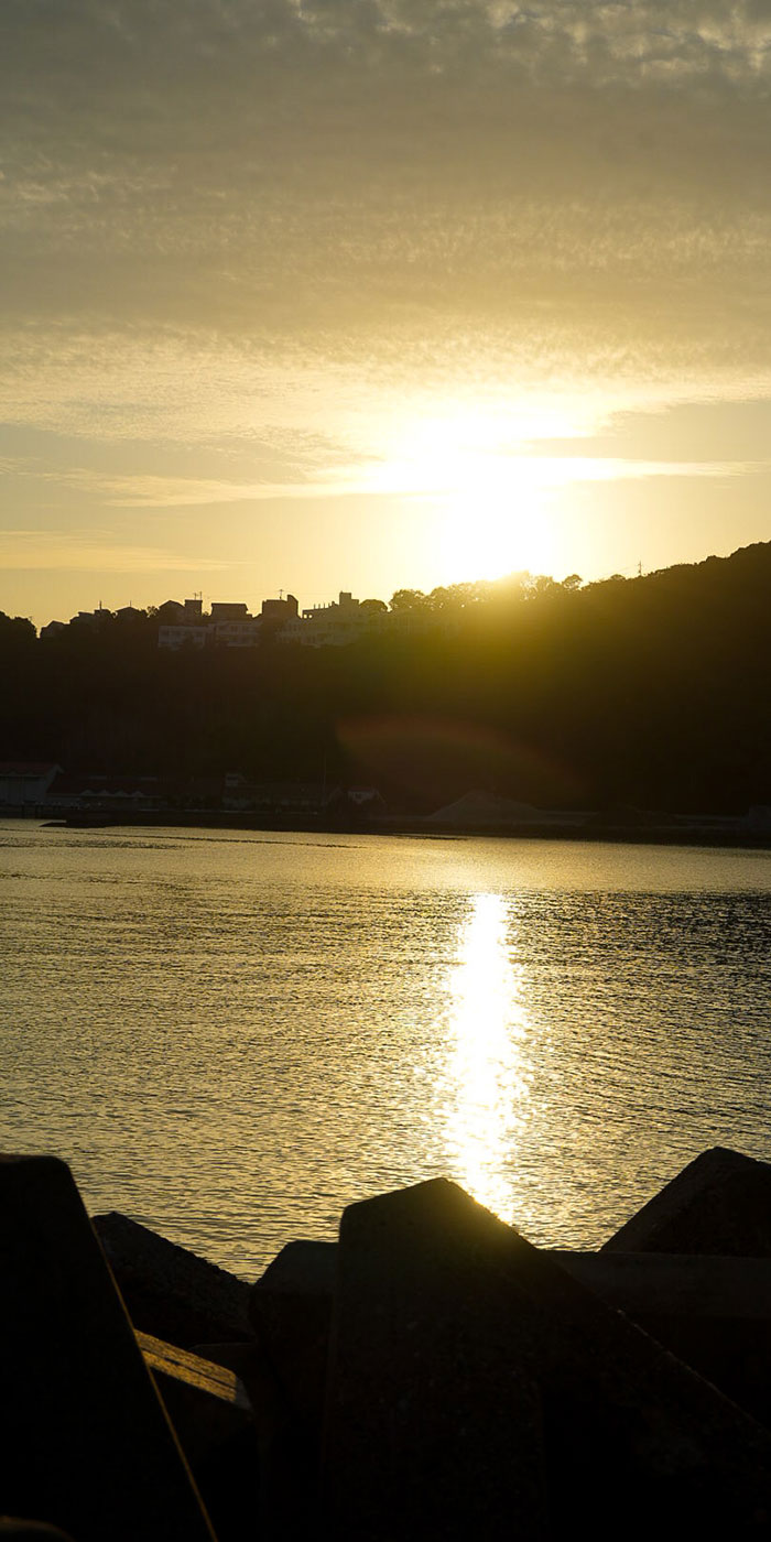 E7721999-75B7-43A8-AE14-308F8D0EEED3